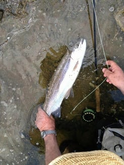 Fishing in Broken Bow