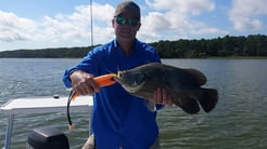 Fishing in Port St. Joe