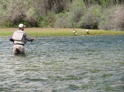 Fishing in Saint Xavier