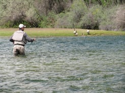 Fishing in Bighorn River
