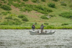 Fishing in Ennis