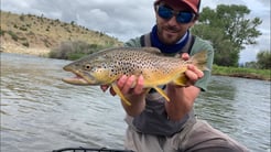 Fishing in Whitefish