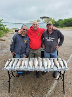 Fishing in Lake Whitney