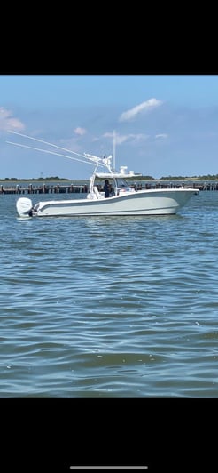 Fishing in Dauphin Island