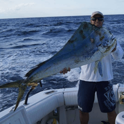 Fishing in Dauphin Island