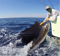 Fishing in Puerto Jiménez