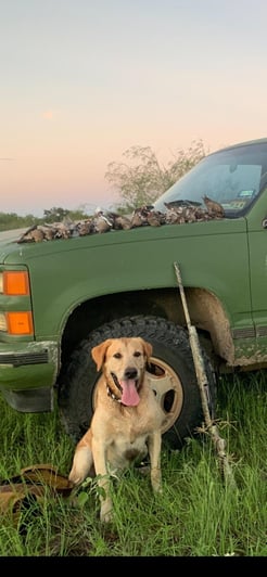 Hunting in Port Aransas