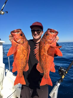 Fishing in Dana Point