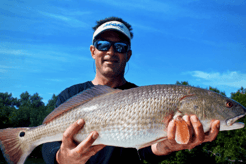 Fishing in Cape Coral