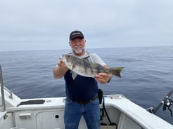 Fishing in Los Angeles