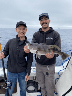 Fishing in Los Angeles