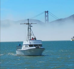 Fishing in San Francisco