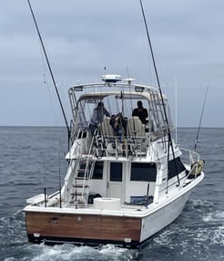 Fishing in San Diego