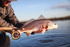 Fishing in Jacksonville