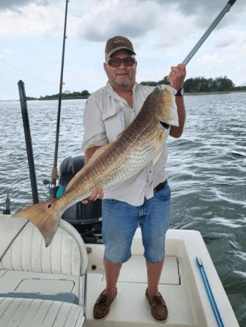 Fishing in Port Arthur