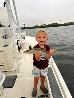 Fishing in Sarasota