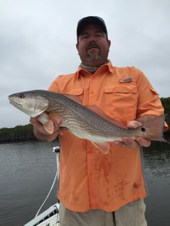 Fishing in Hudson