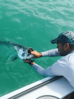 Fishing in Islamorada