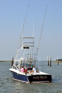 Fishing in Hilton Head Island