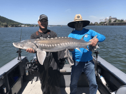 Fishing in Portland