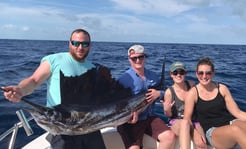 Fishing in Miami Beach