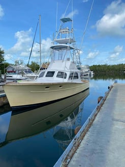 Fishing in Islamorada