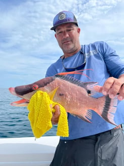 Fishing in Tierra Verde