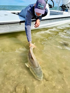 Fishing in Matagorda