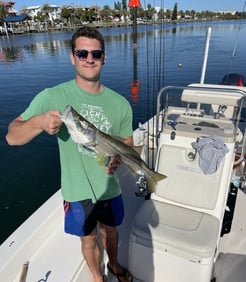 Fishing in Clearwater