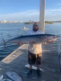 Fishing in Port Orange