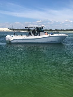 Fishing in Pensacola