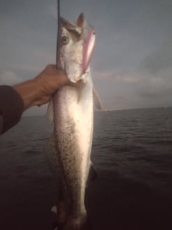 Fishing in Texas City