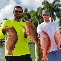 Fishing in Tierra Verde