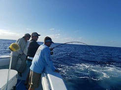 Fishing in Tierra Verde