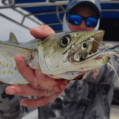 Fishing in Punta Mita