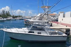 Fishing in Cancún