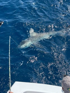 Fishing in Pompano Beach