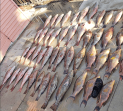 Fishing in Coral Gables