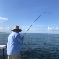 Fishing in Gulf Breeze