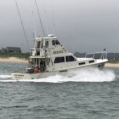 Fishing in Montauk