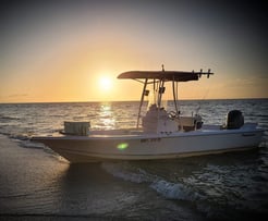 Fishing in Cape Coral