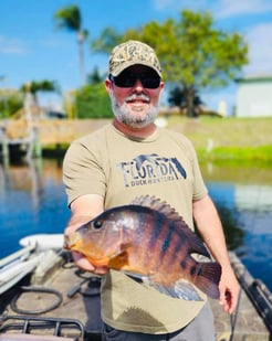 Fishing in Crystal River