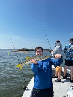 Fishing in Placida