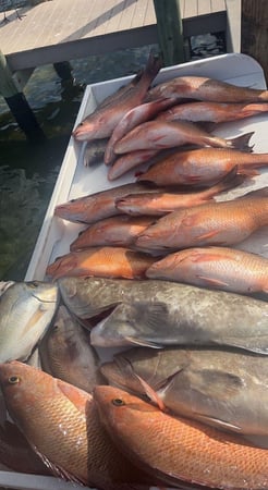 Fishing in St. Petersburg