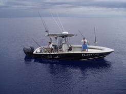 Fishing in Miami Beach