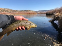 Fishing in Navajo Dam