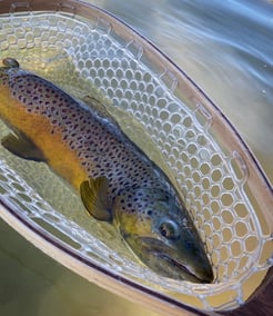 Fishing in Navajo Dam