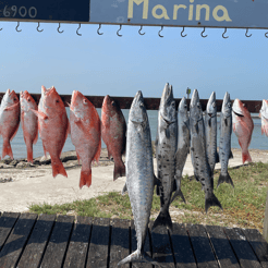 Fishing in Port Aransas