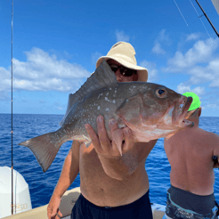 Fishing in Cape Coral