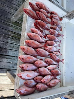 Fishing in Fort Morgan